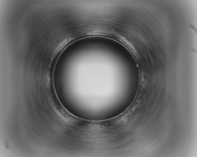 X0000099300298200805021237