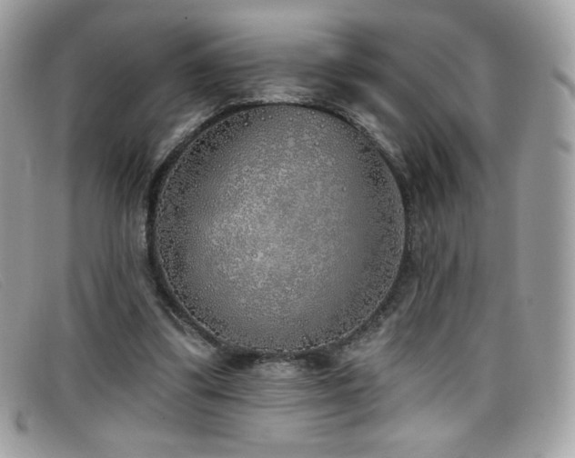 X0000099300299200805021237