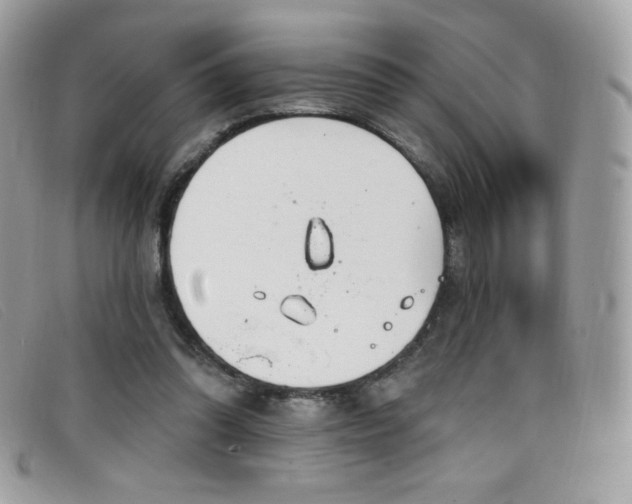 X0000099300302200805021237