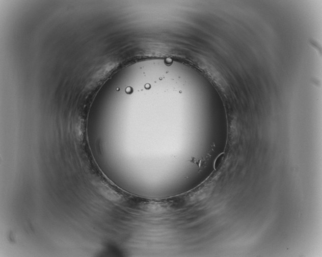 X0000099300305200805021237