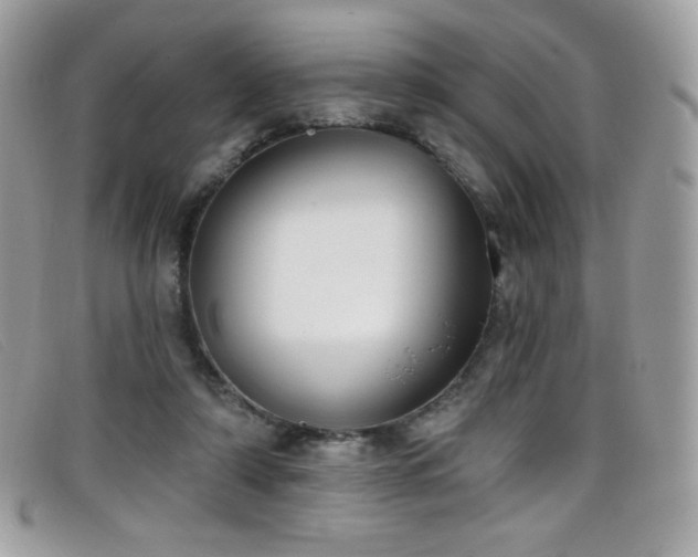 X0000099300306200805021237