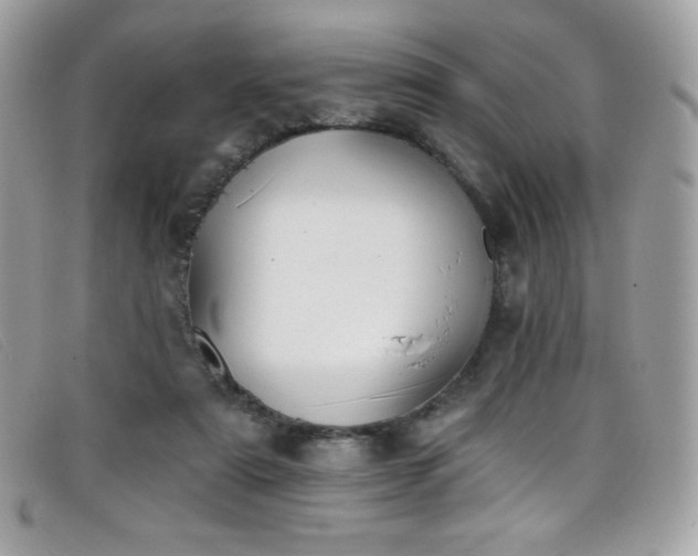 X0000099300307200805021237