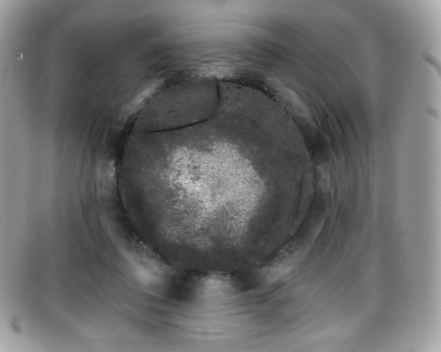 X0000099300308200805021237