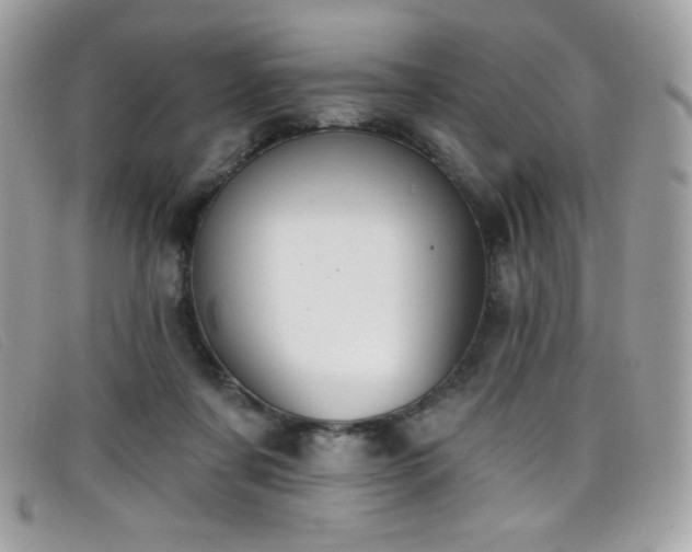 X0000099300311200805021237