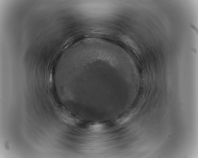 X0000099300312200805021237