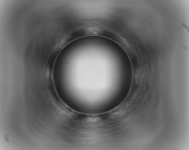 X0000099300314200805021237