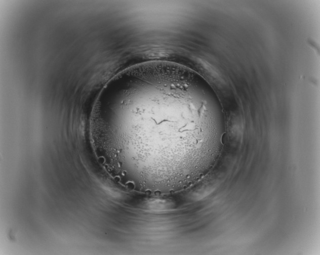 X0000099300315200805021236