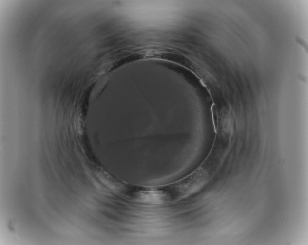 X0000099300316200805021236