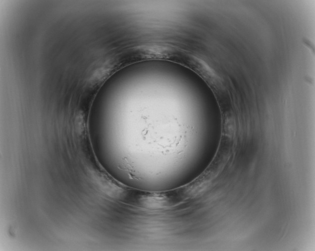 X0000099300318200805021236