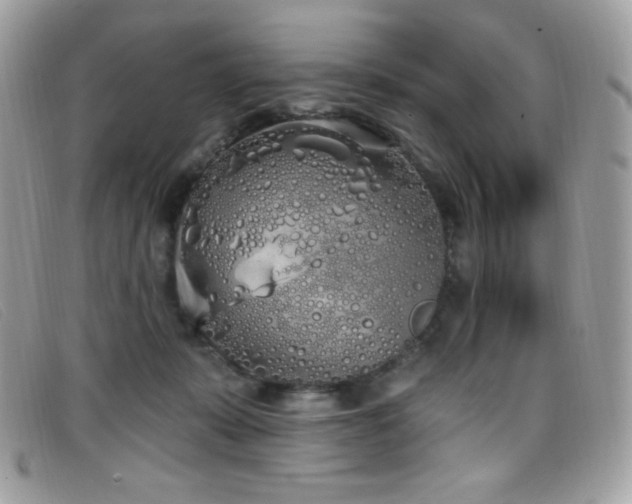 X0000099300319200805021236