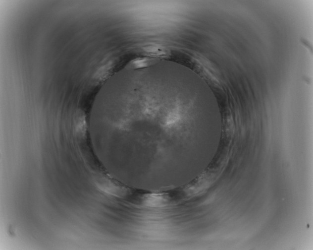 X0000099300320200805021236