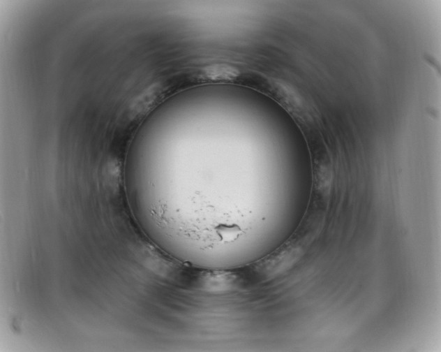 X0000099300321200805021236