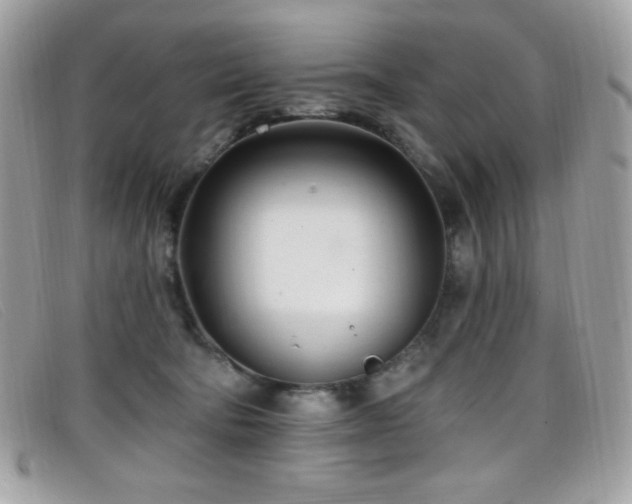 X0000099300322200805021236