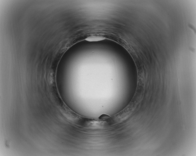 X0000099300323200805021236