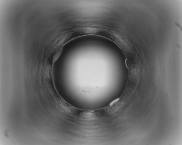 X0000099300325200805021236