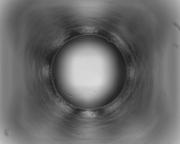 X0000099300326200805021236