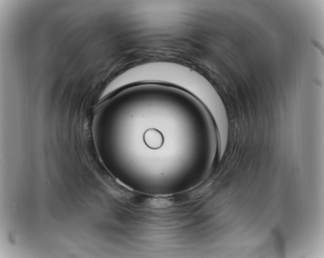 X0000099300327200805021236