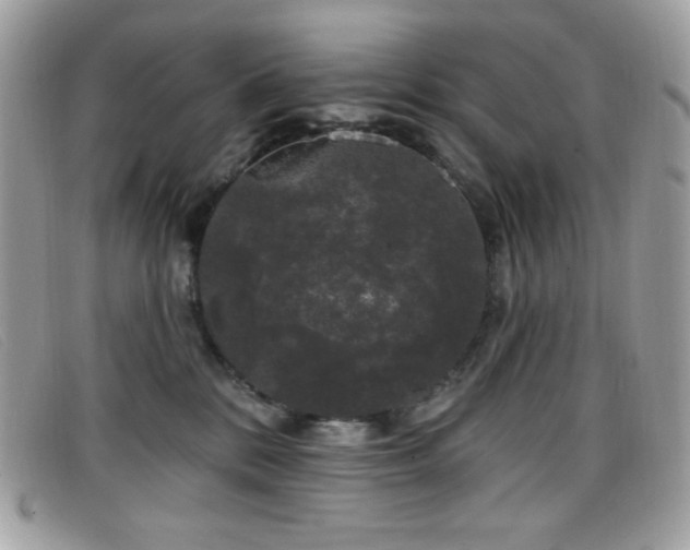 X0000099300328200805021236