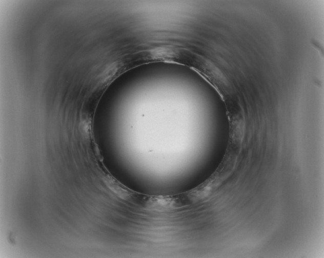 X0000099300329200805021236