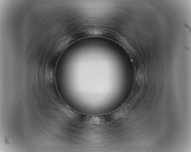 X0000099300330200805021236