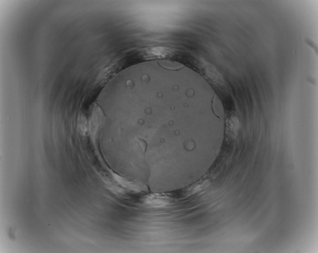 X0000099300331200805021236