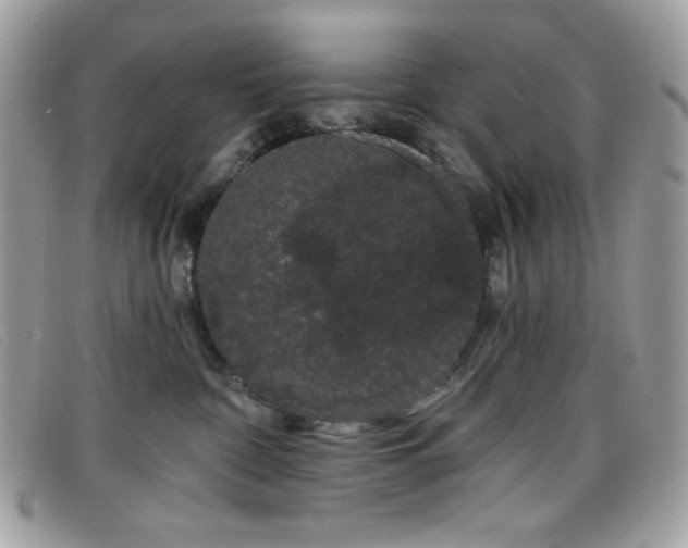 X0000099300332200805021236