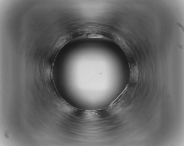 X0000099300333200805021236