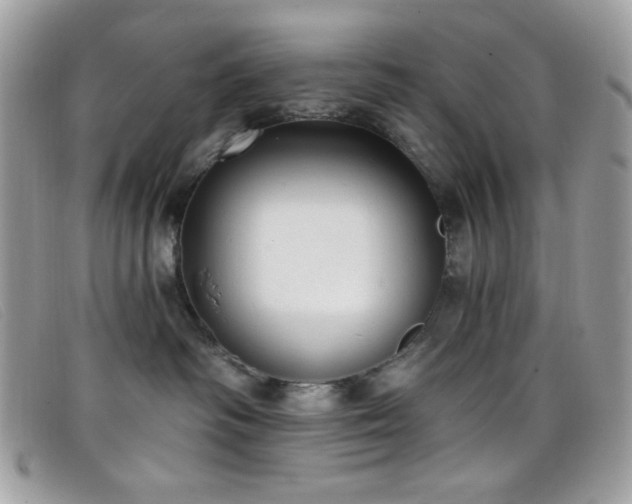 X0000099300334200805021236