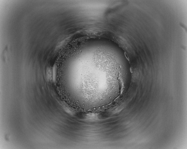 X0000099300335200805021236