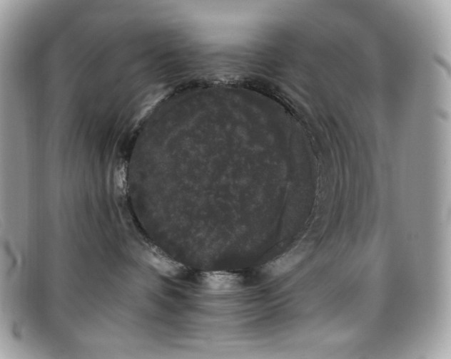 X0000099300336200805021236