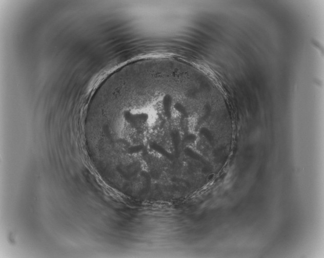 X0000099300337200805021236