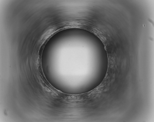 X0000099300338200805021236