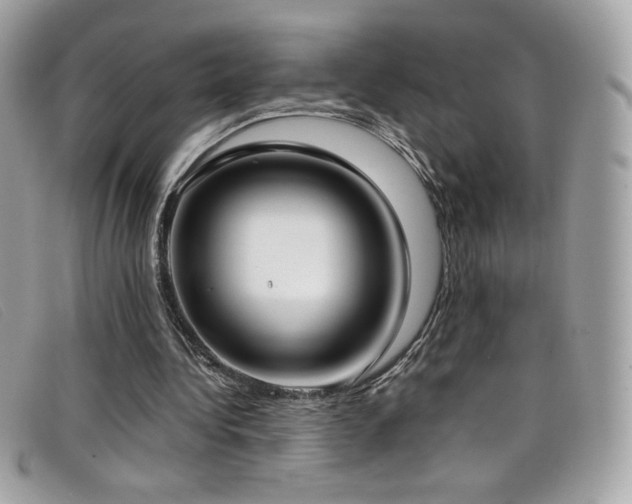 X0000099300340200805021236