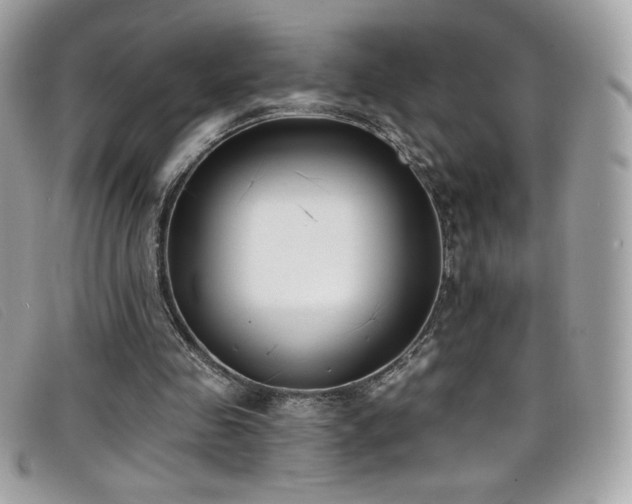 X0000099300341200805021236