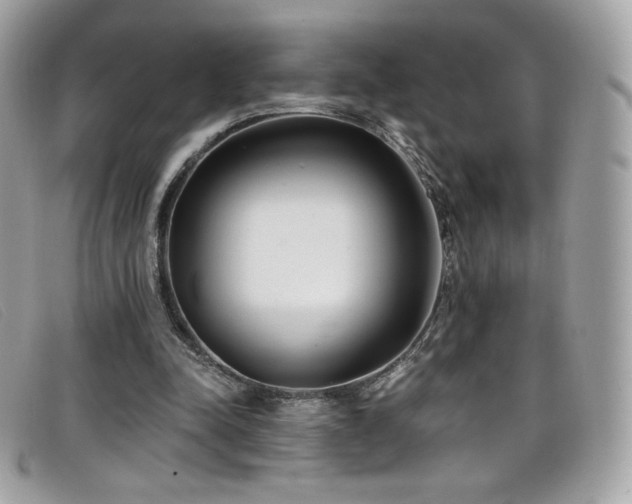 X0000099300342200805021236