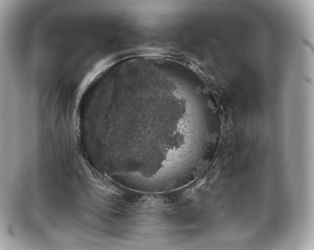 X0000099300343200805021236