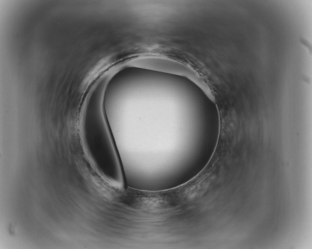 X0000099300344200805021236