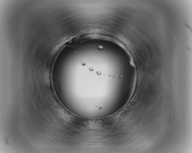 X0000099300345200805021236