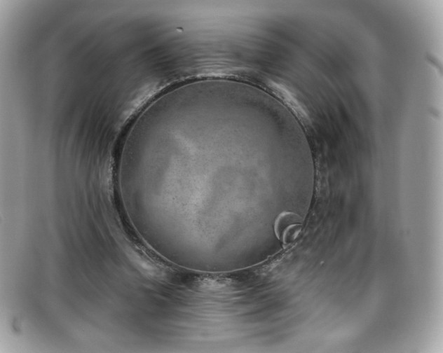 X0000099300346200805021236