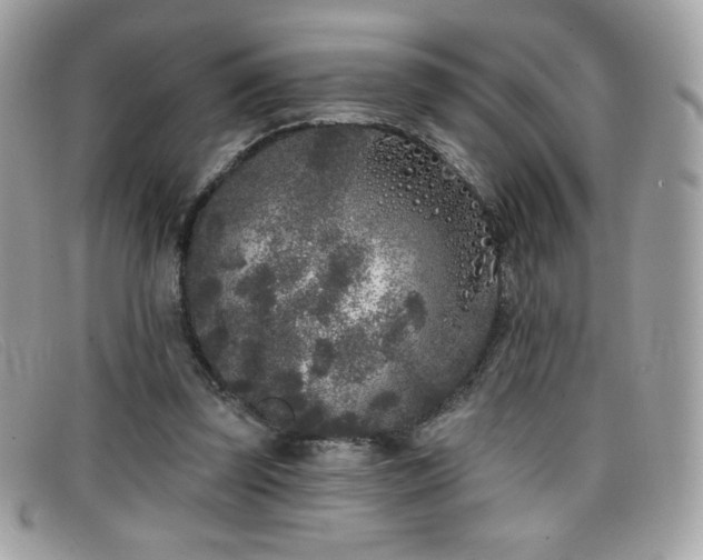 X0000099300347200805021236