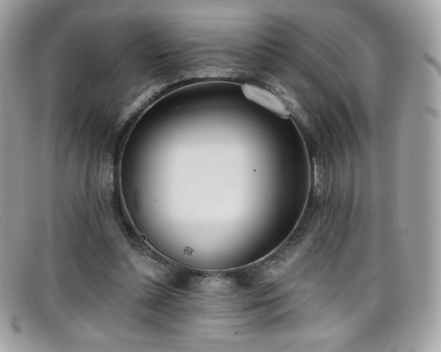 X0000099300348200805021236