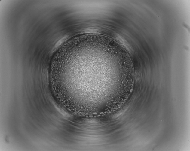 X0000099300349200805021236