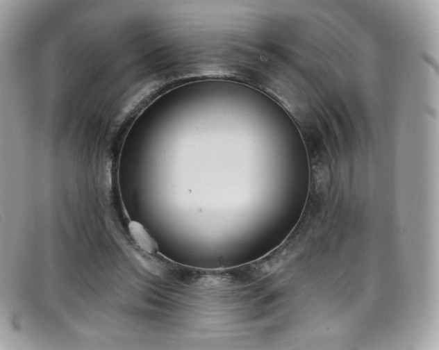 X0000099300350200805021236