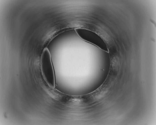 X0000099300352200805021236