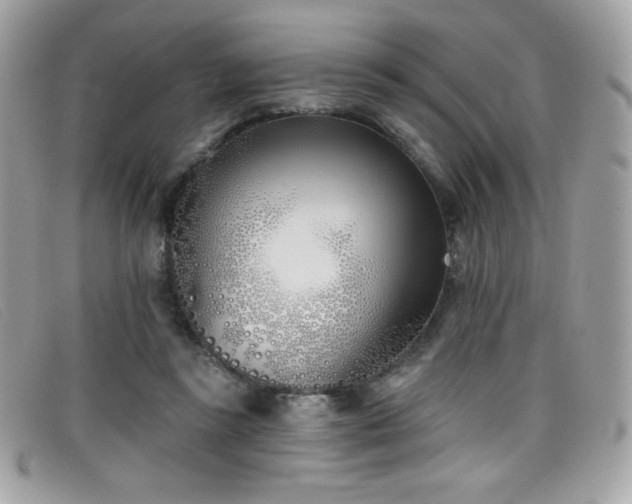 X0000099300355200805021236