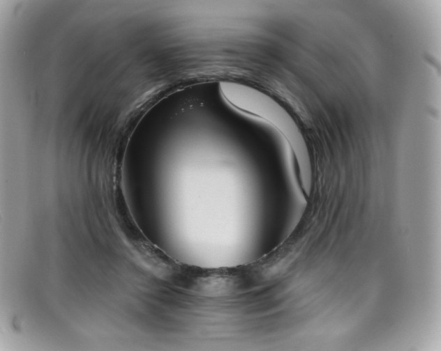 X0000099300356200805021236