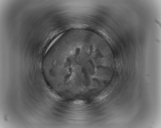 X0000099300357200805021236