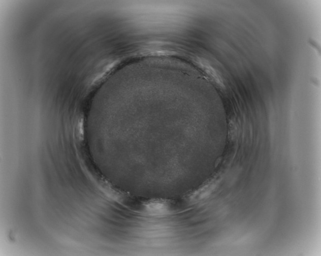 X0000099300358200805021236