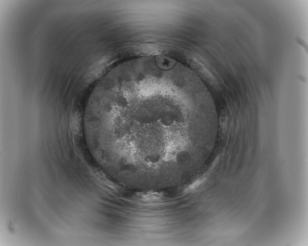 X0000099300359200805021236