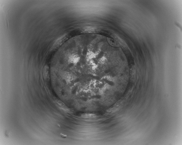 X0000099300361200805021236